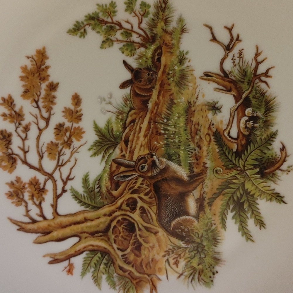6 Bareuther Waldsassen Wildlife Transferware Porcelain Luncheon Plates - Picture 14 of 17